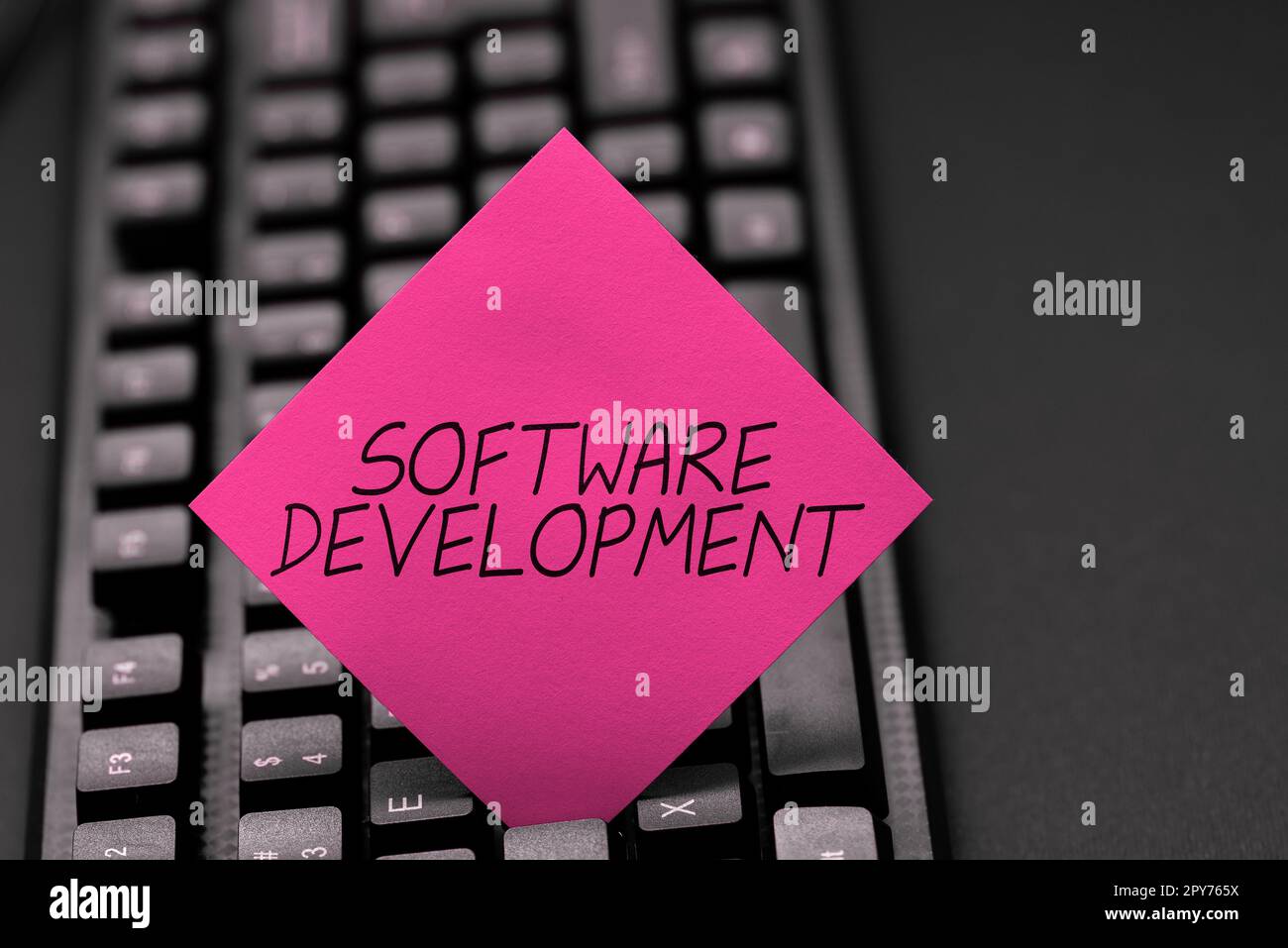 Handwriting text Software Development. Business overview software is created using a specific programming Stock Photo