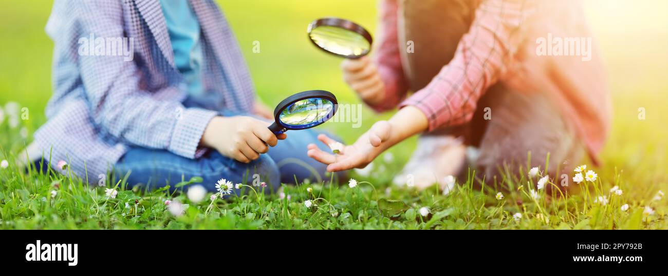Children exploring fresh nature by using magnifying glasses. Stock Photo