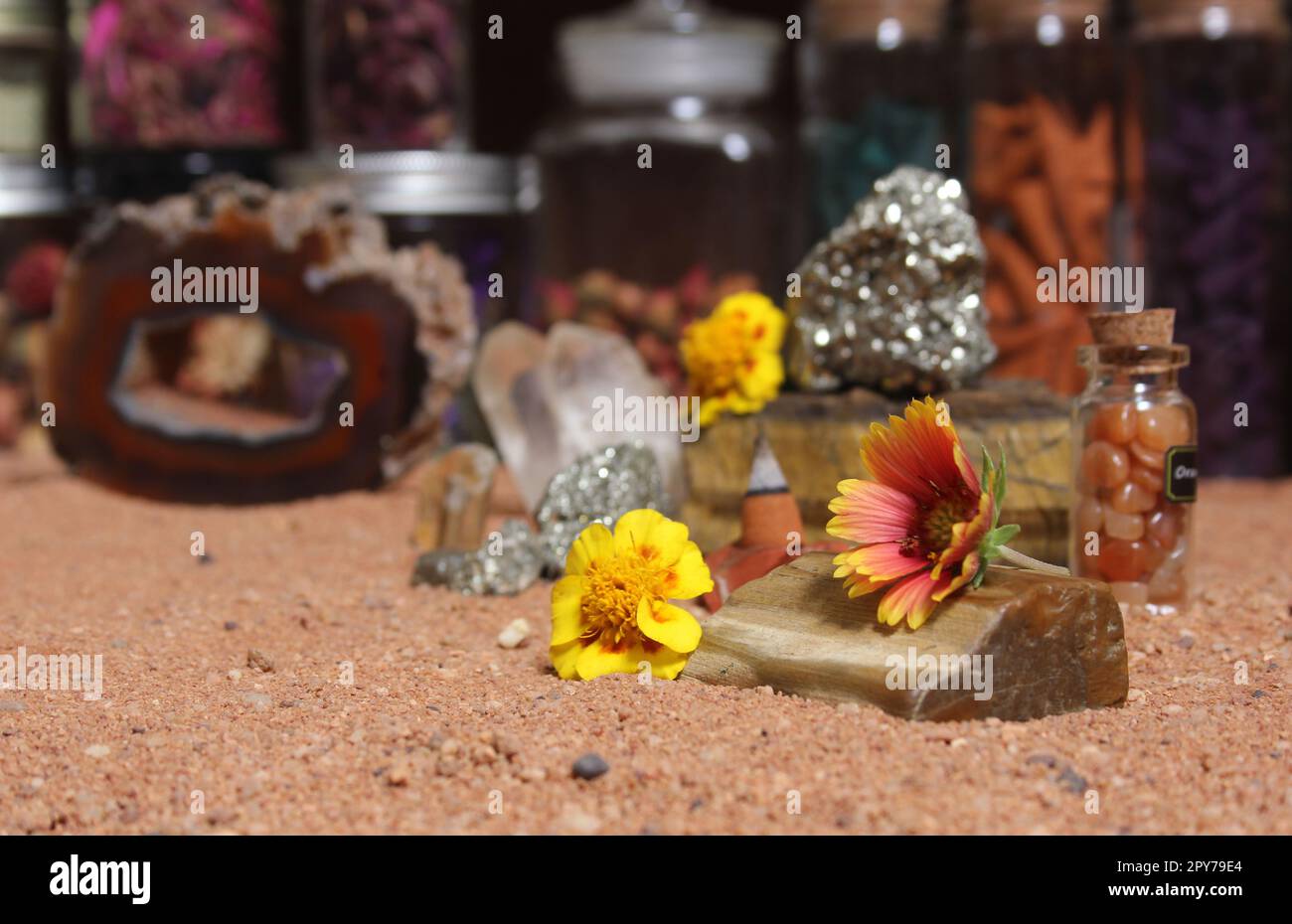 Yellow Flower With Pyrite Rocks and Crystals on Australian Red Sand Stock Photo