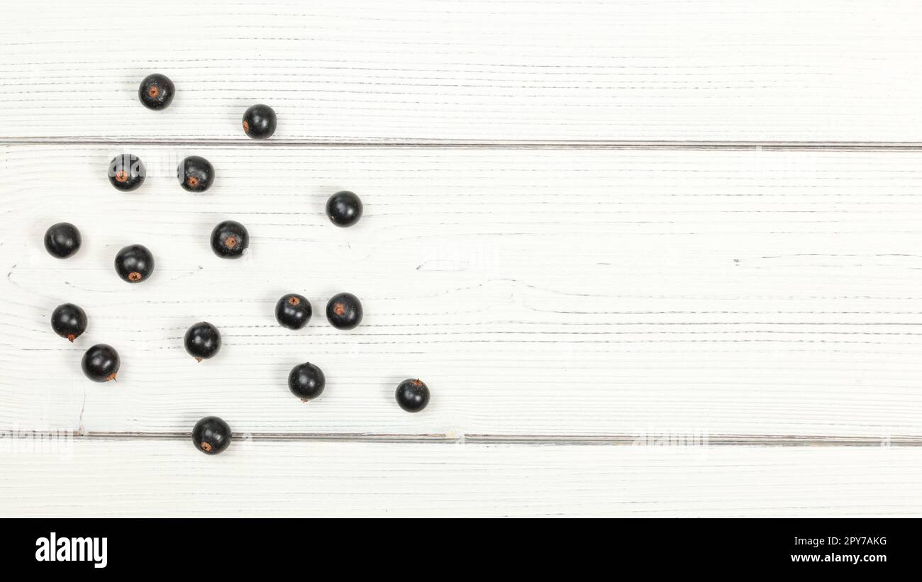 Tabletop view blackcurrants scattered on white boards, space for text on right side. Stock Photo