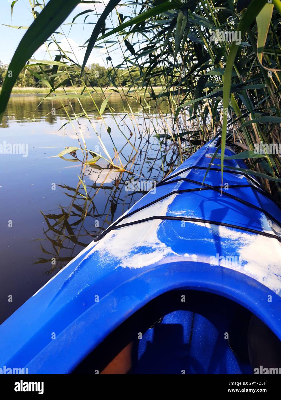 Kayak in the reed beds on the surface of the water Stock Photo
