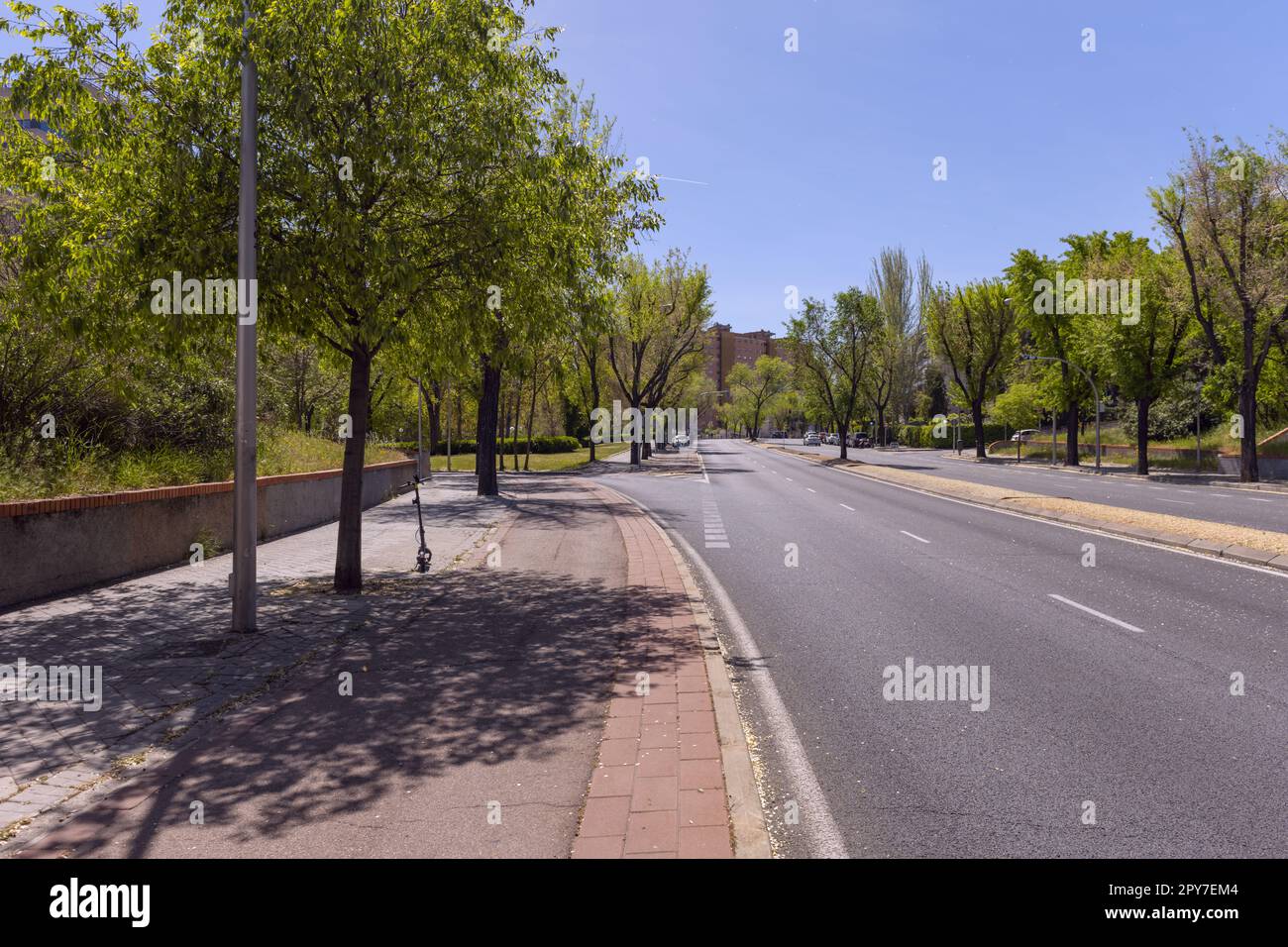 Empty Treet An empty street of a city with its trees on a sunny spring day Stock ...