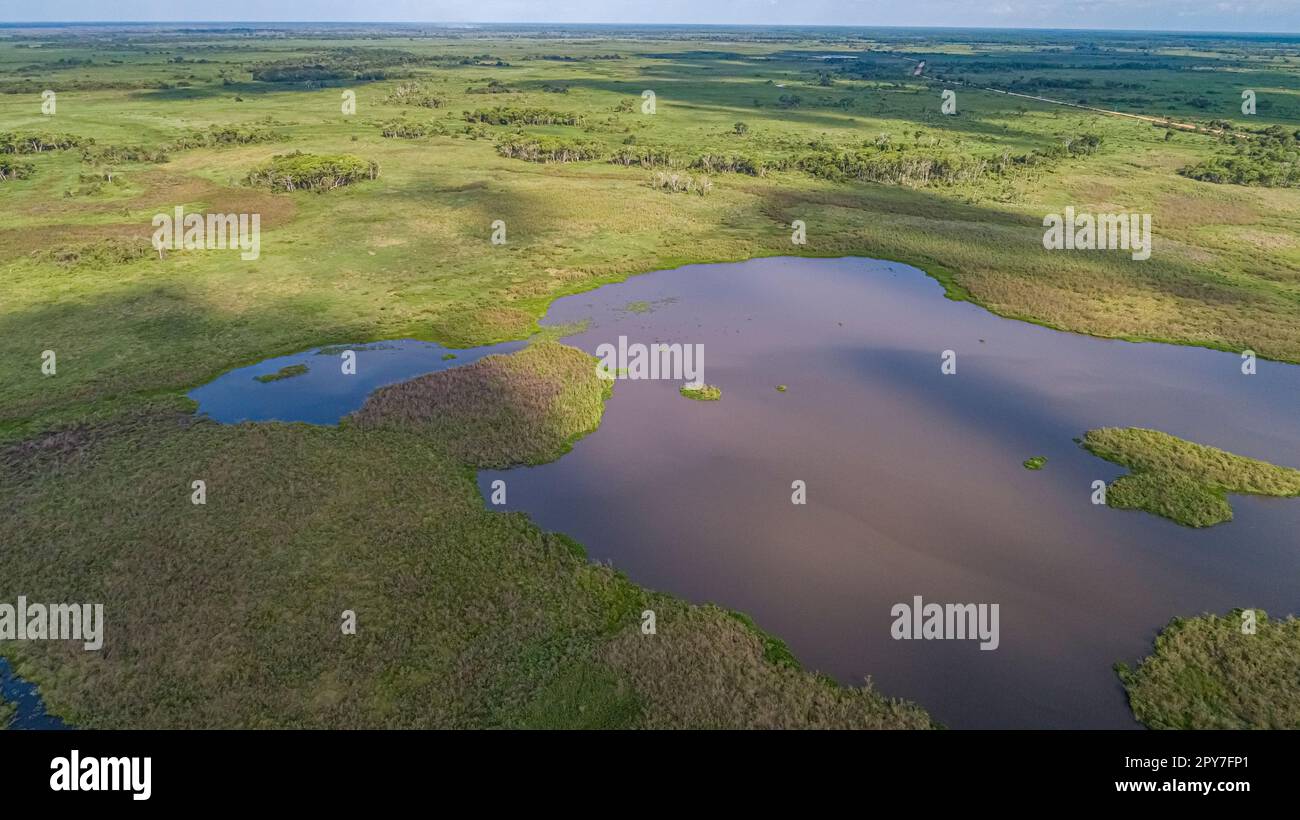 Aerial view of typical Pantanal landscape with lagoons, rivers, meadows ...