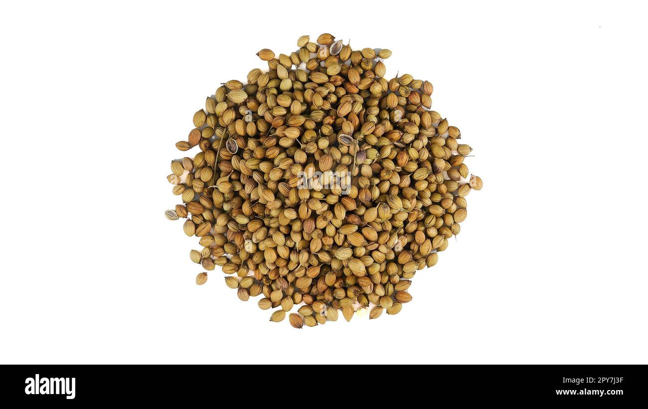 Coriander seeds isolated on white background from above Stock Photo Alamy