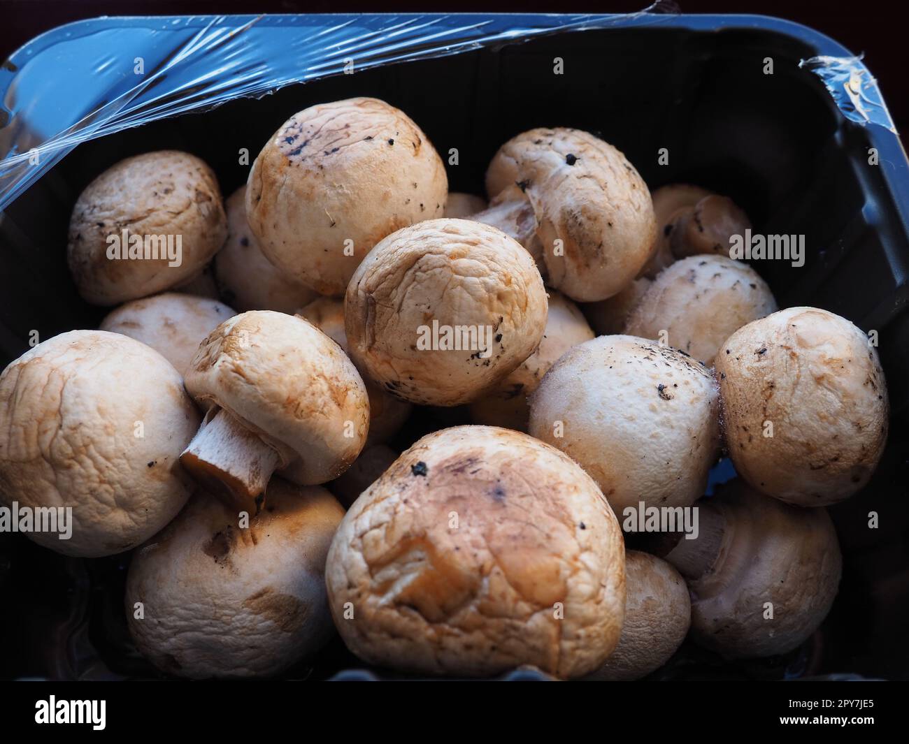 champignons in black plastic packaging. Brown champignons grown in a mushroom factory. Mushrooms in an opened store packaging. Closeup of mushrooms after defrosting. Deformation and loss of elasticity Stock Photo