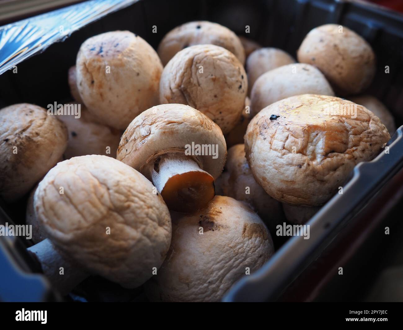 https://c8.alamy.com/comp/2PY7JEC/champignons-in-black-plastic-packaging-brown-champignons-grown-in-a-mushroom-factory-mushrooms-in-an-opened-store-packaging-closeup-of-mushrooms-after-defrosting-deformation-and-loss-of-elasticity-2PY7JEC.jpg