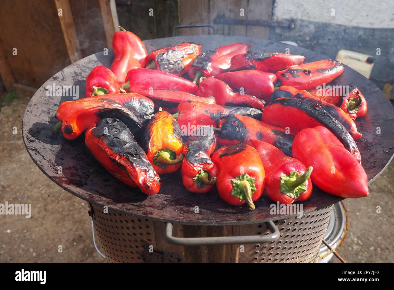 Roasting red peppers for a smoky flavor and quick peeling. Thermal processing of the pepper crop on a metal circle. Brazier container used to burn charcoal fuel for cooking, heating or cultural ritual Stock Photo