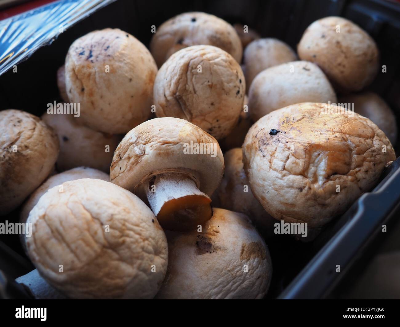 champignons in black plastic packaging. Brown champignons grown in a mushroom factory. Mushrooms in an opened store packaging. Closeup of mushrooms after defrosting. Deformation and loss of elasticity Stock Photo