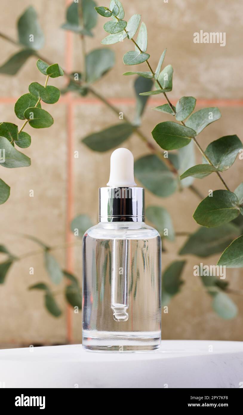 Clear glass dropper bottle with cosmetic product and eucalyptus branch Stock Photo