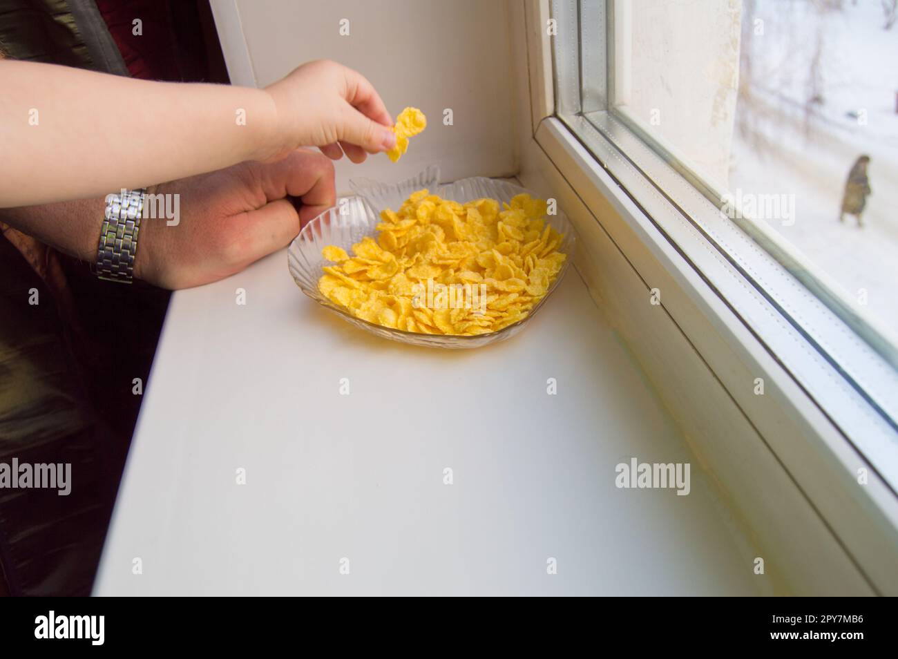 The child reached for the cereal, a little boy and a grown man standing at the window Stock Photo