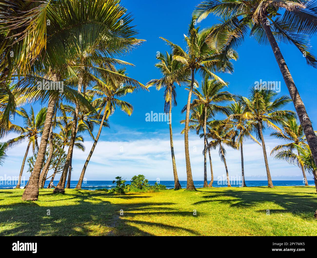 Picnic area at Grand Anse beach in Petiteîle Stock Photo Alamy