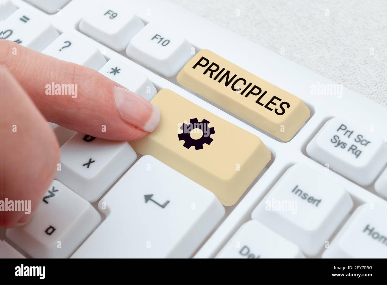 Principled Signs Inspiration showing sign Principles. Business approach fundamental ...