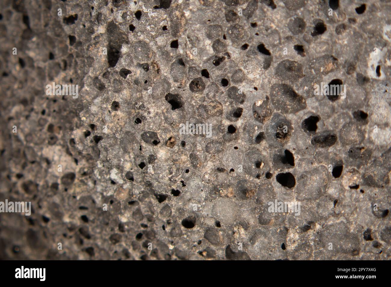 gray porous pumice stone as a volcanic igneous rock Stock Photo - Alamy