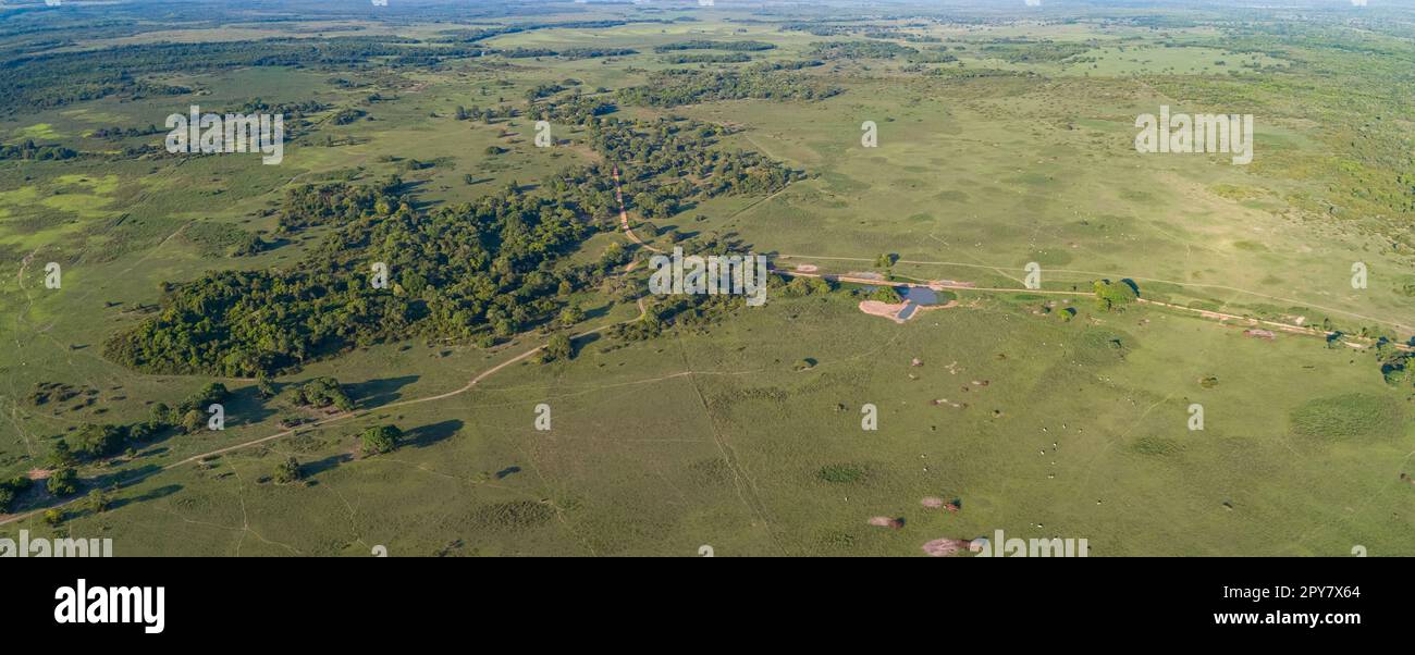 Drone wetlands hi-res stock photography and images - Alamy