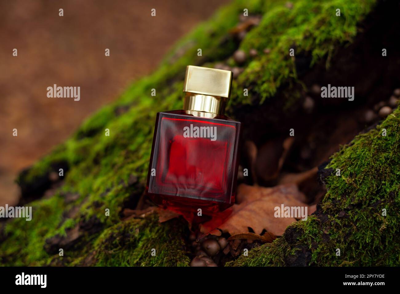 Stylish perfume on the background of nature Stock Photo