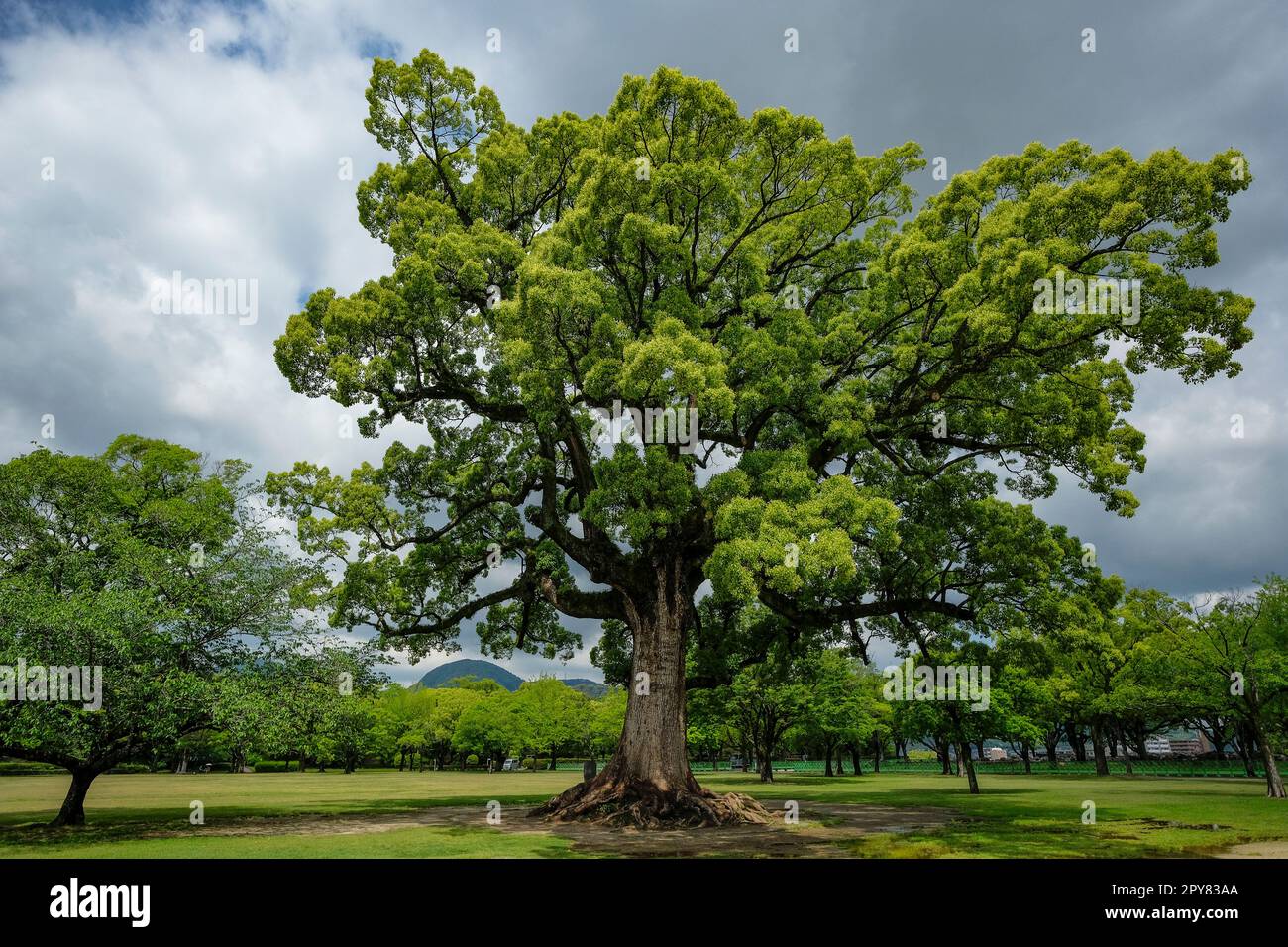 Views of the Ninomaru Park in Kumamoto on the Island of Kyushu, Japan. Stock Photo