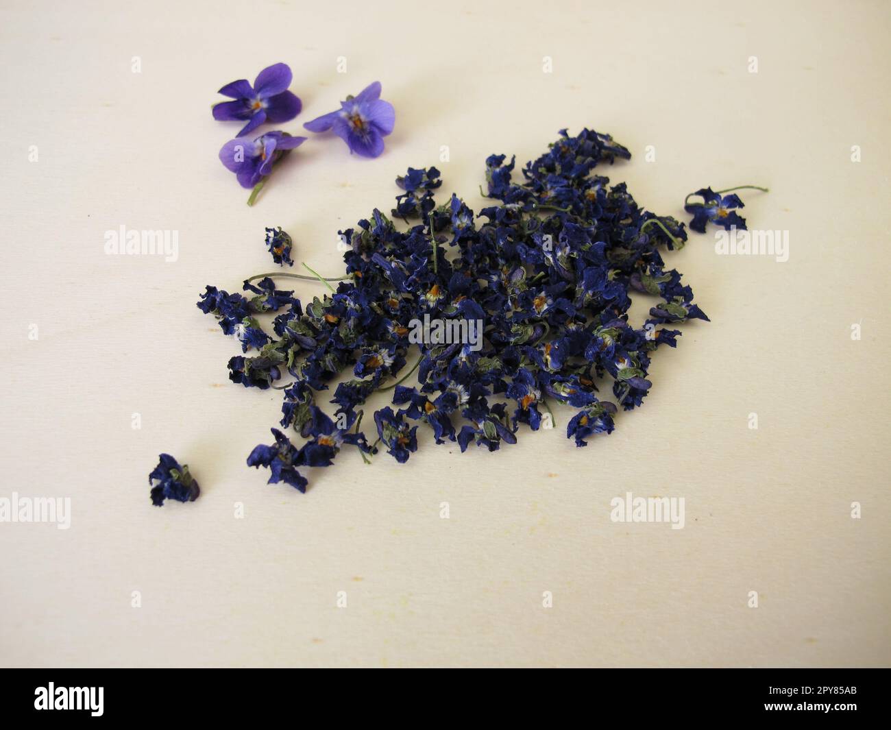 Dried flowers of sweet violets for tea Stock Photo