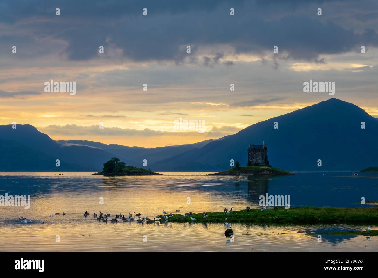 Castle Stalker on Loch Laich with water reflections at sunset, Argyll, Scotland UK Stock Photo
