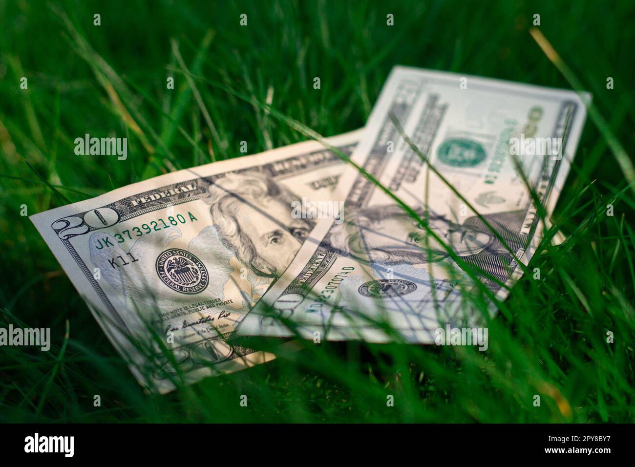 Two 20 US dollar bills lie on a background of green grass. Money lying on the ground. Stock Photo