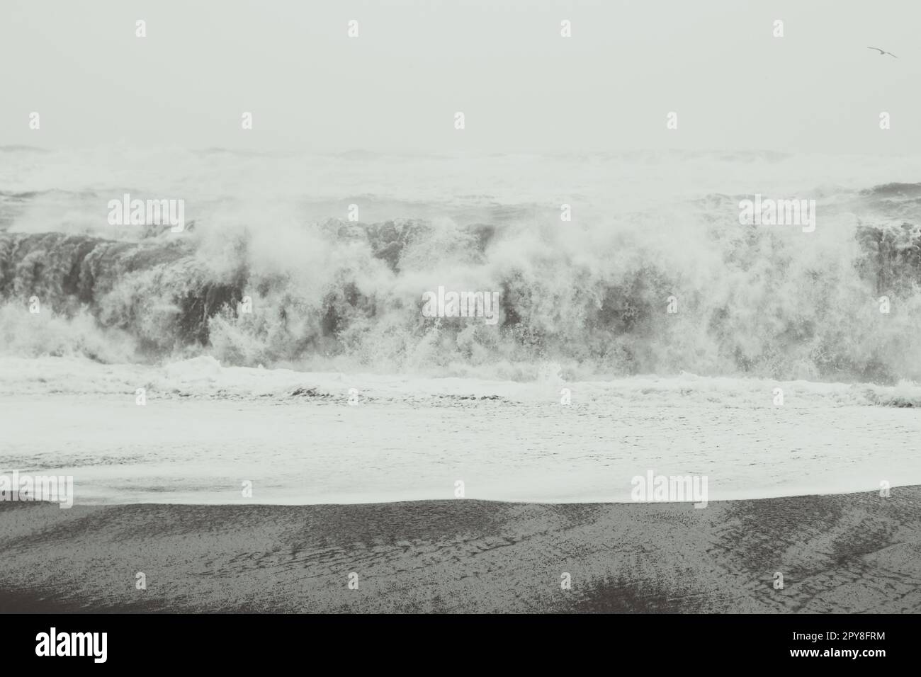 Heavy storm in ocean monochrome landscape photo Stock Photo