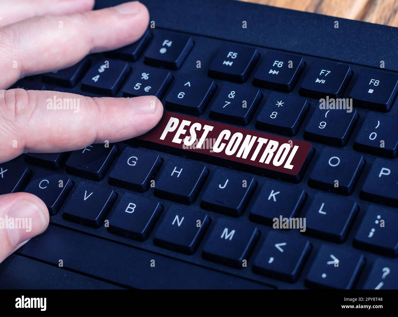 Internet Insects Text showing inspiration Pest Control. Internet Concept Killing ...