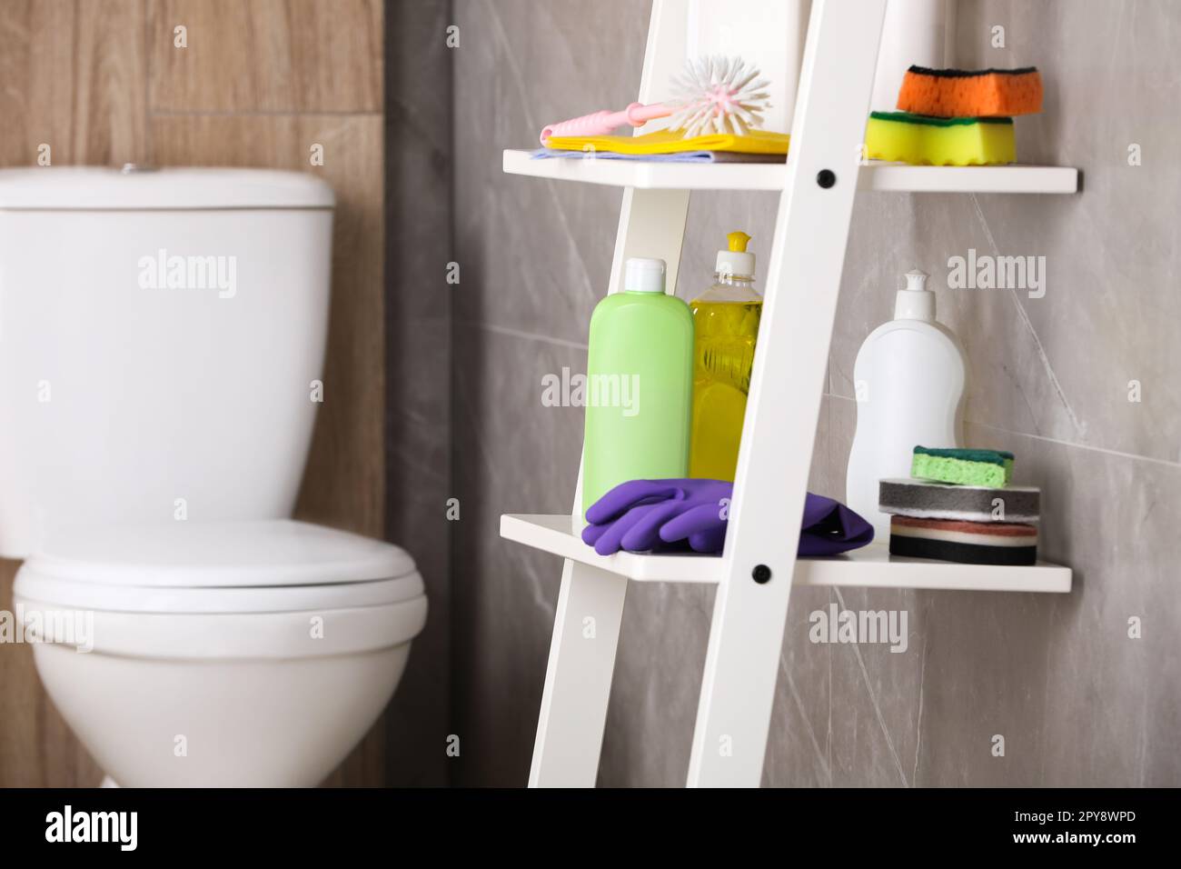 Different toilet cleaning supplies on shelving unit indoors Stock Photo