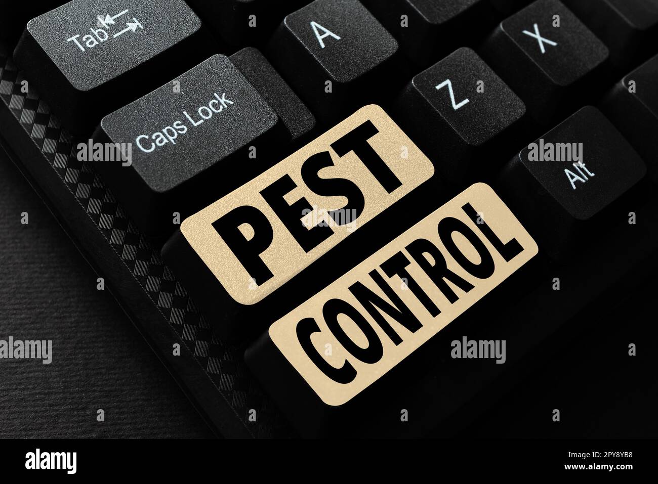 Inspiration showing sign Pest Control. Concept meaning Killing destructive insects that attacks