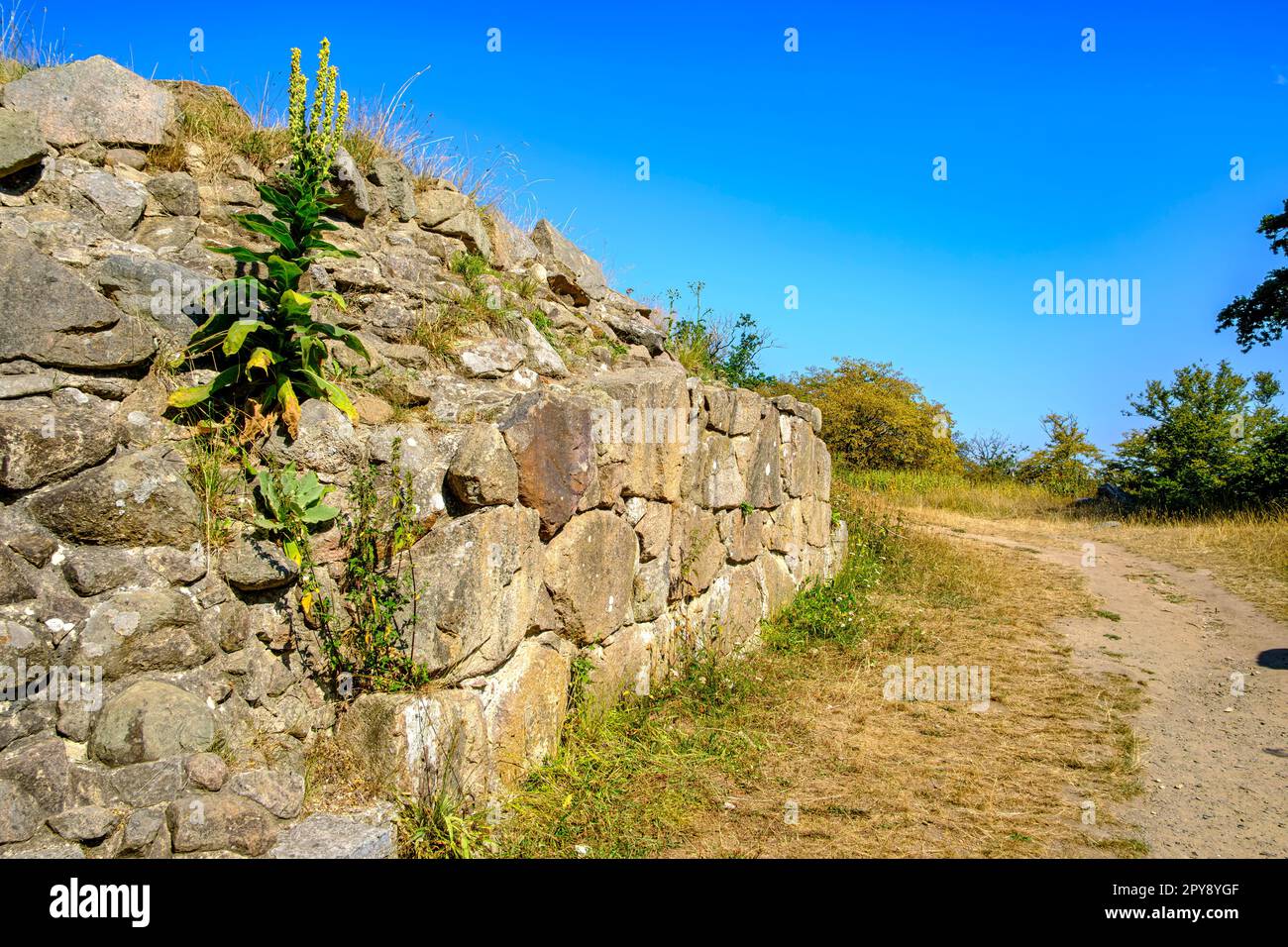 Ruins of a Viking castle of the 9th century, in the forest area of Almindingen on