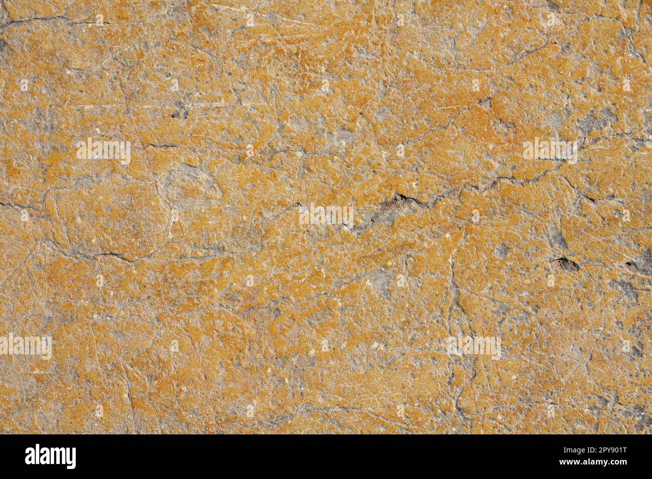 Uneven gray concrete background texture Stock Photo