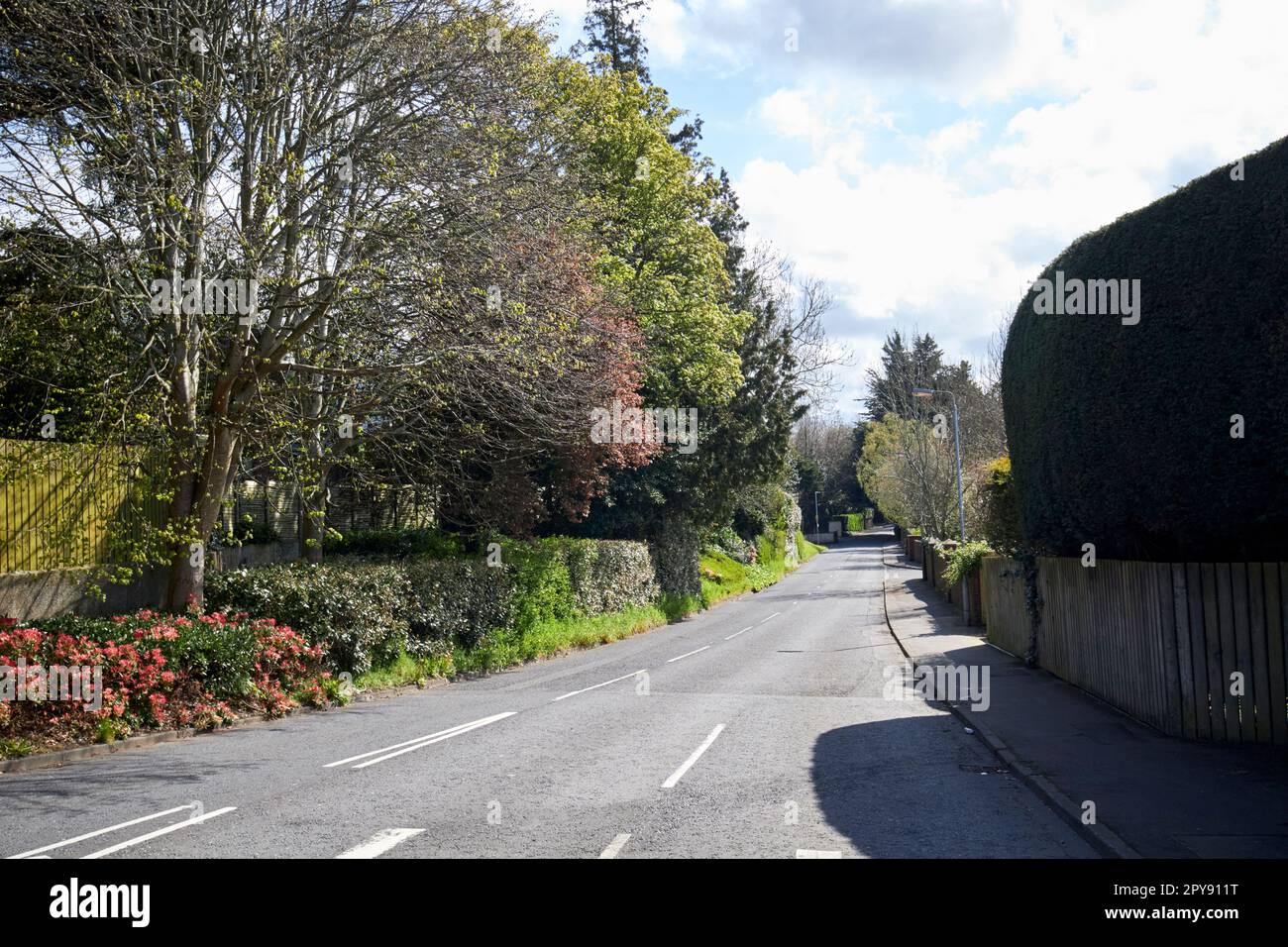 lane south belfast northern ireland uk Stock Photo Alamy