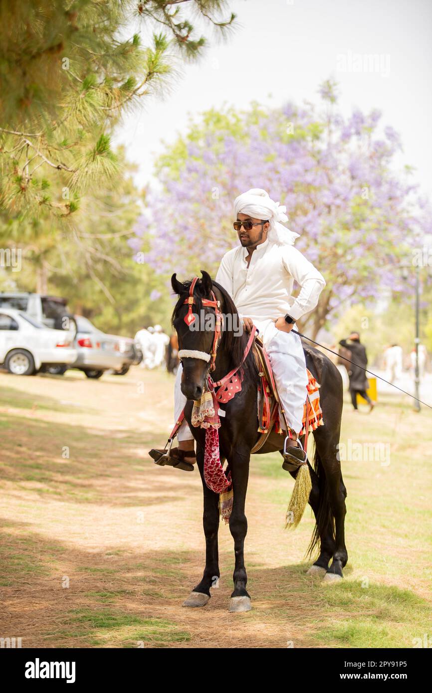 Pakistan, Asian Horse rider on traditional Islamabad Championship tent ...