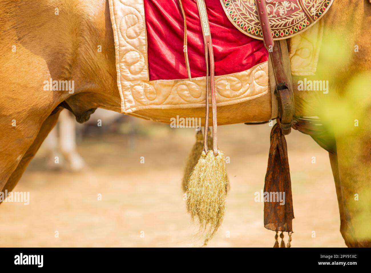 Pakistan, Asian Horse rider on traditional Islamabad Championship tent pegging festival in Islamabad tent pegging . 30-April-2023 Stock Photo
