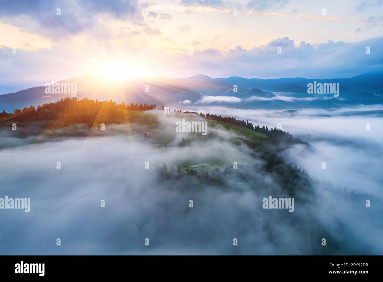 Landscape with fog in mountains and rows of trees Stock Photo - Alamy