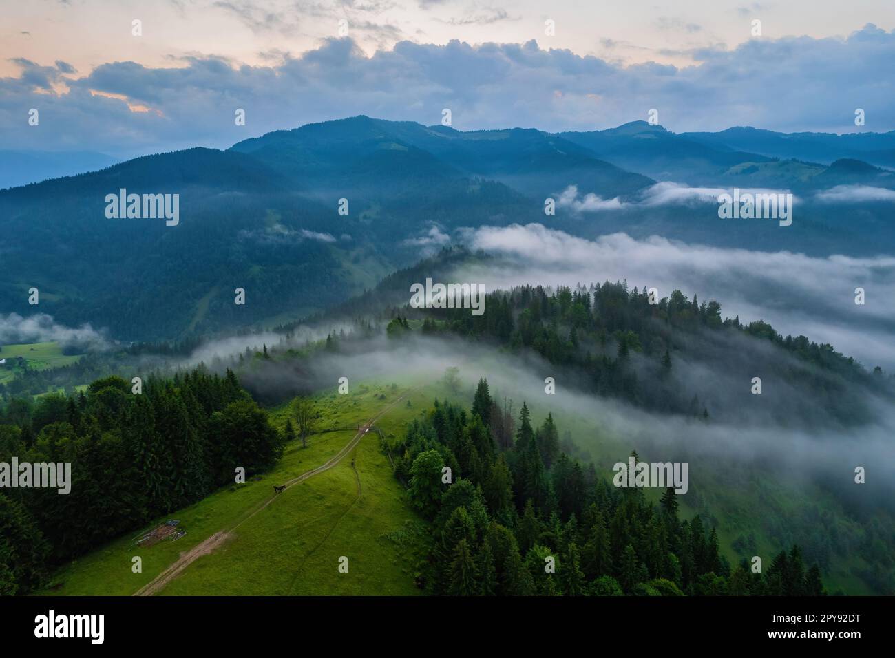 Landscape with fog in mountains and rows of trees Stock Photo - Alamy