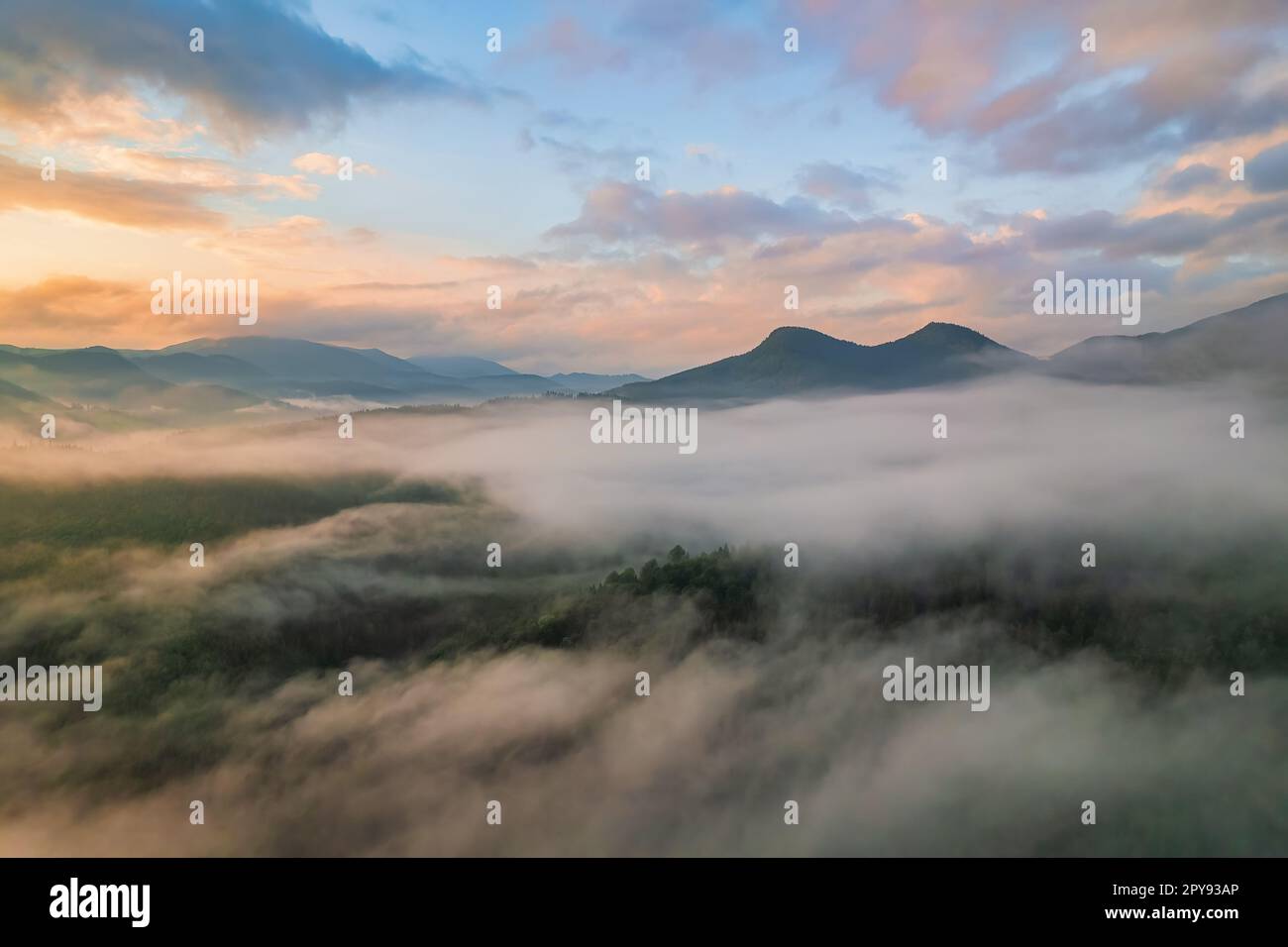 Landscape with fog in mountains and rows of trees Stock Photo - Alamy