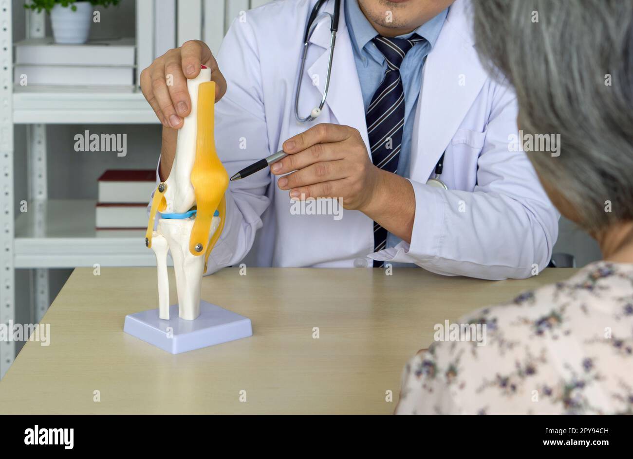 Orthopedic Surgeon in white gown and stethoscope pointing at anterior cruciate ligament on deluxe functional knee joint model, present to the elderly patient about treatment of the knee with surgery. Stock Photo