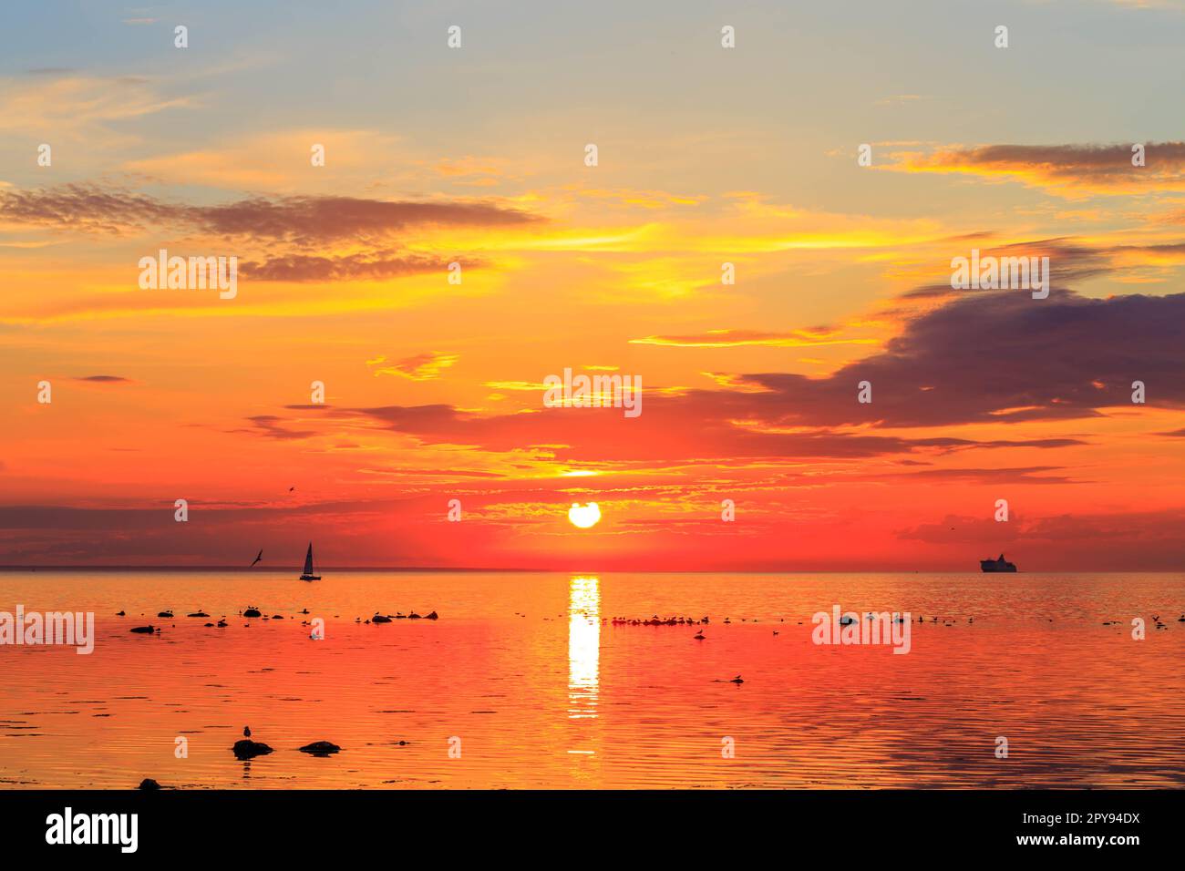 Cruise liner ship in sunset in sea Stock Photo Alamy