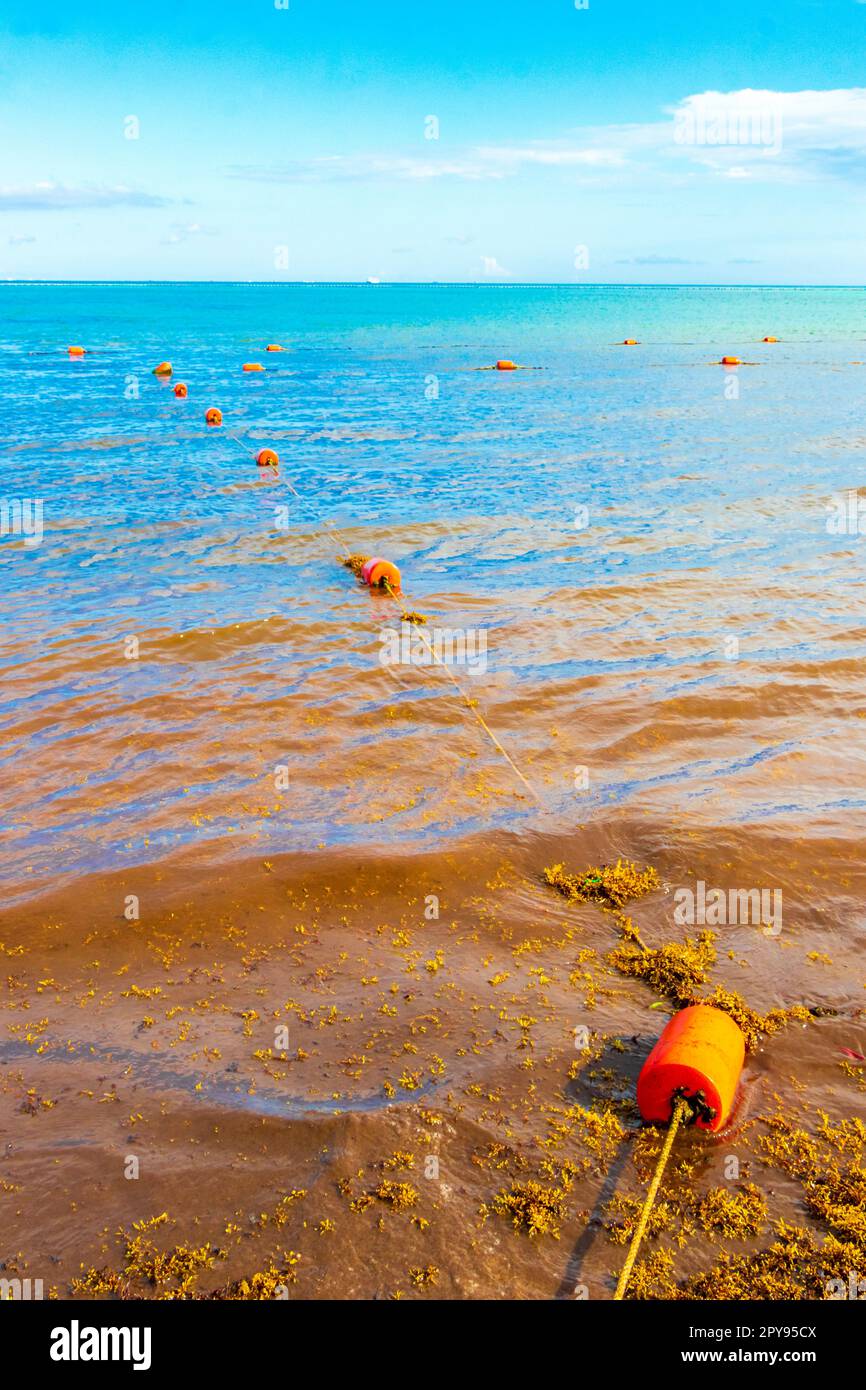 Blue water waves and ocean with buoy and ropes Mexico. Stock Photo