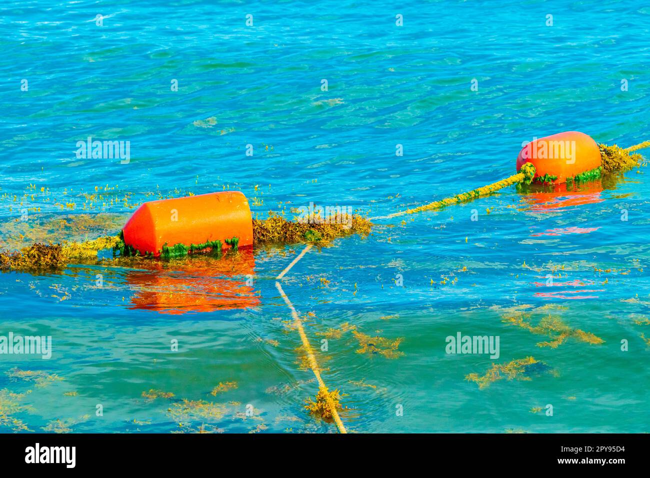 Blue water waves and ocean with buoy and ropes Mexico. Stock Photo