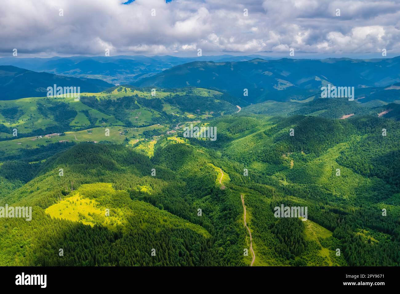 Idyllic landscape in the Alps with fresh green meadows and blooming ...