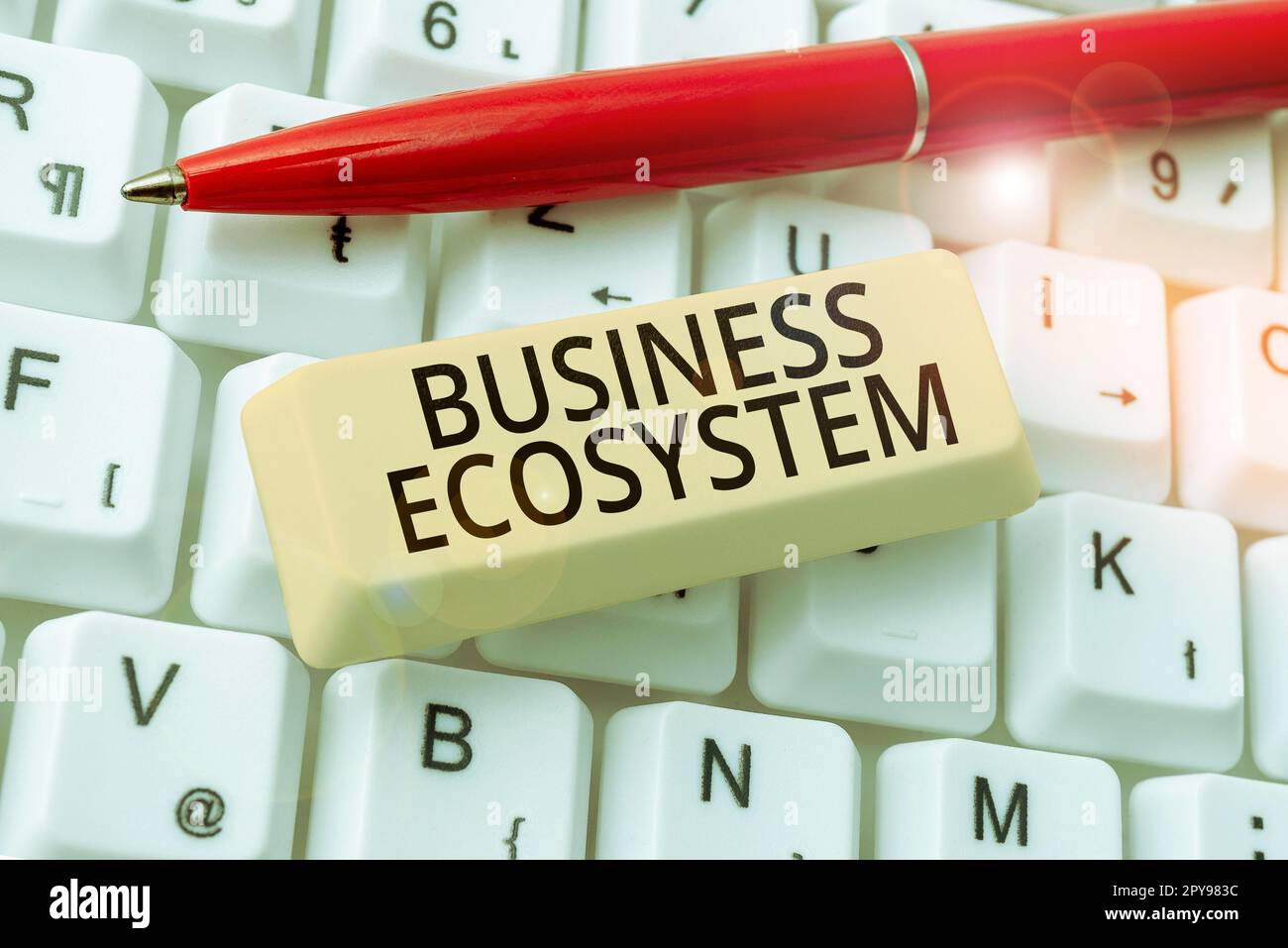 Conceptual display Business Ecosystem. Word for Develop and Implement Organization Growth Opportunities Stock Photo