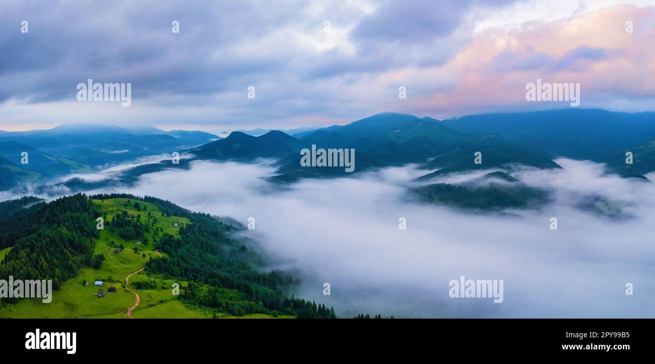 Landscape with fog in mountains and rows of trees Stock Photo - Alamy