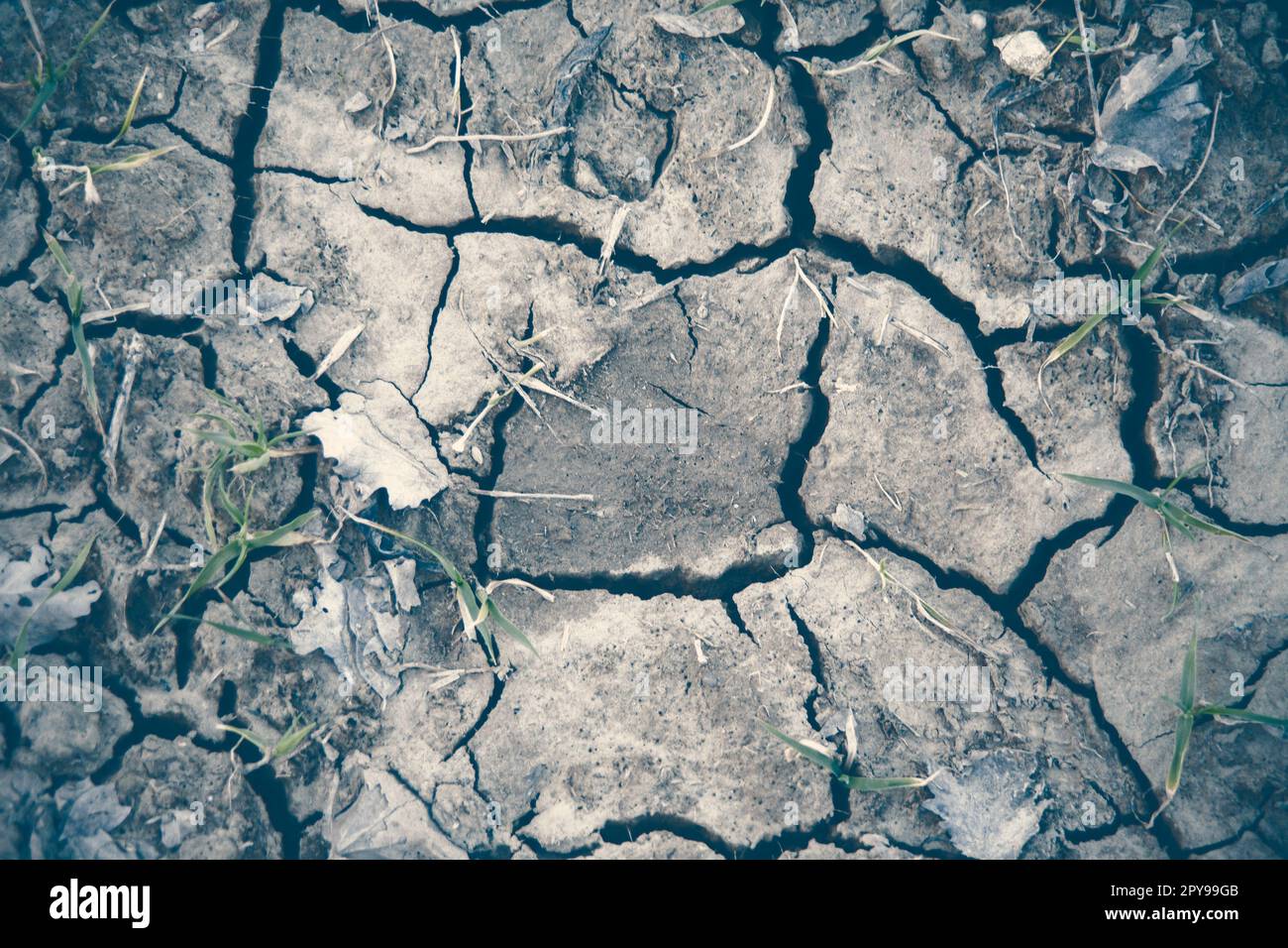 Cracked earth on dray season Stock Photo