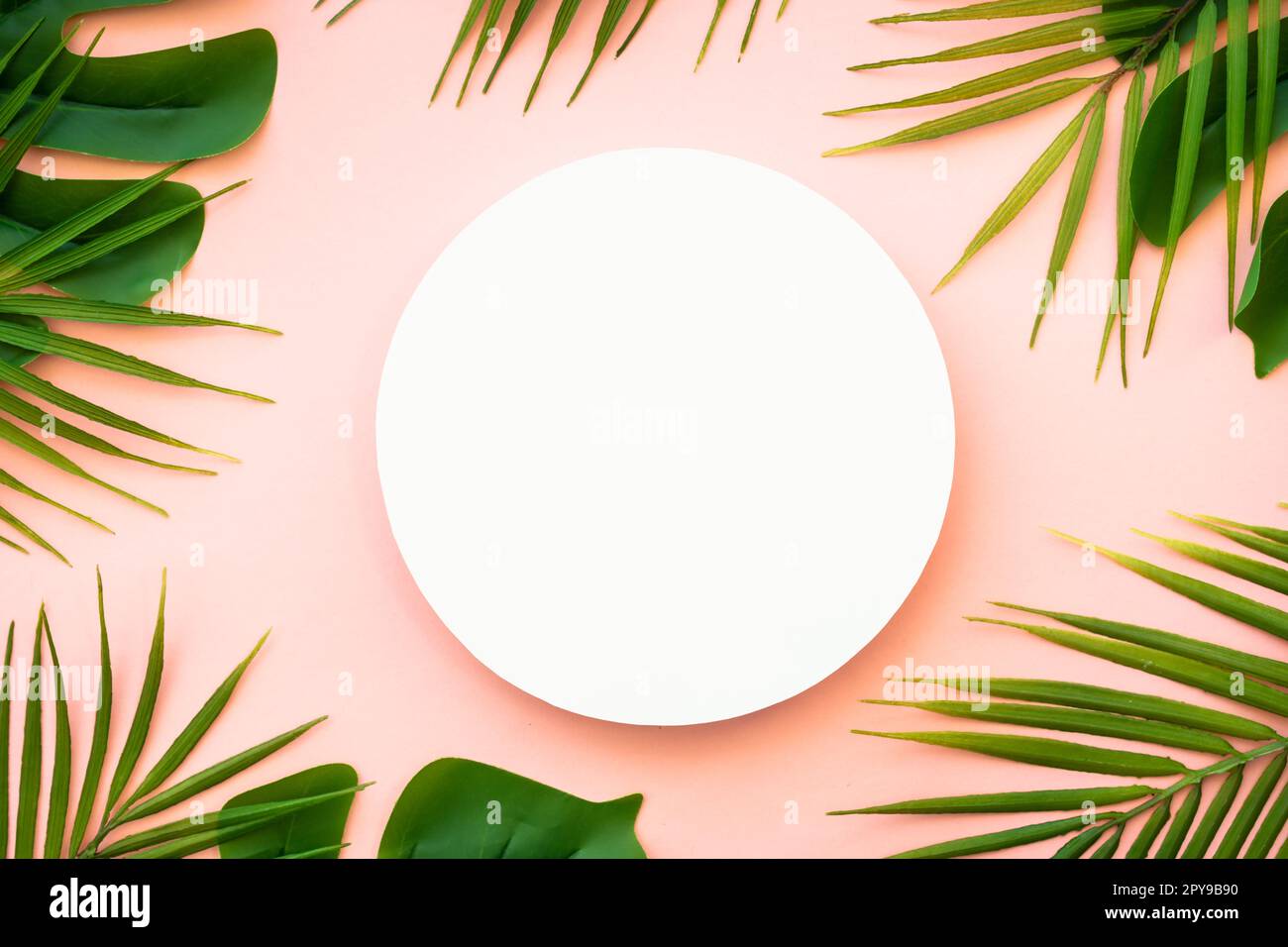 Summer flat lay background tropical leaves on white Stock Photo - Alamy