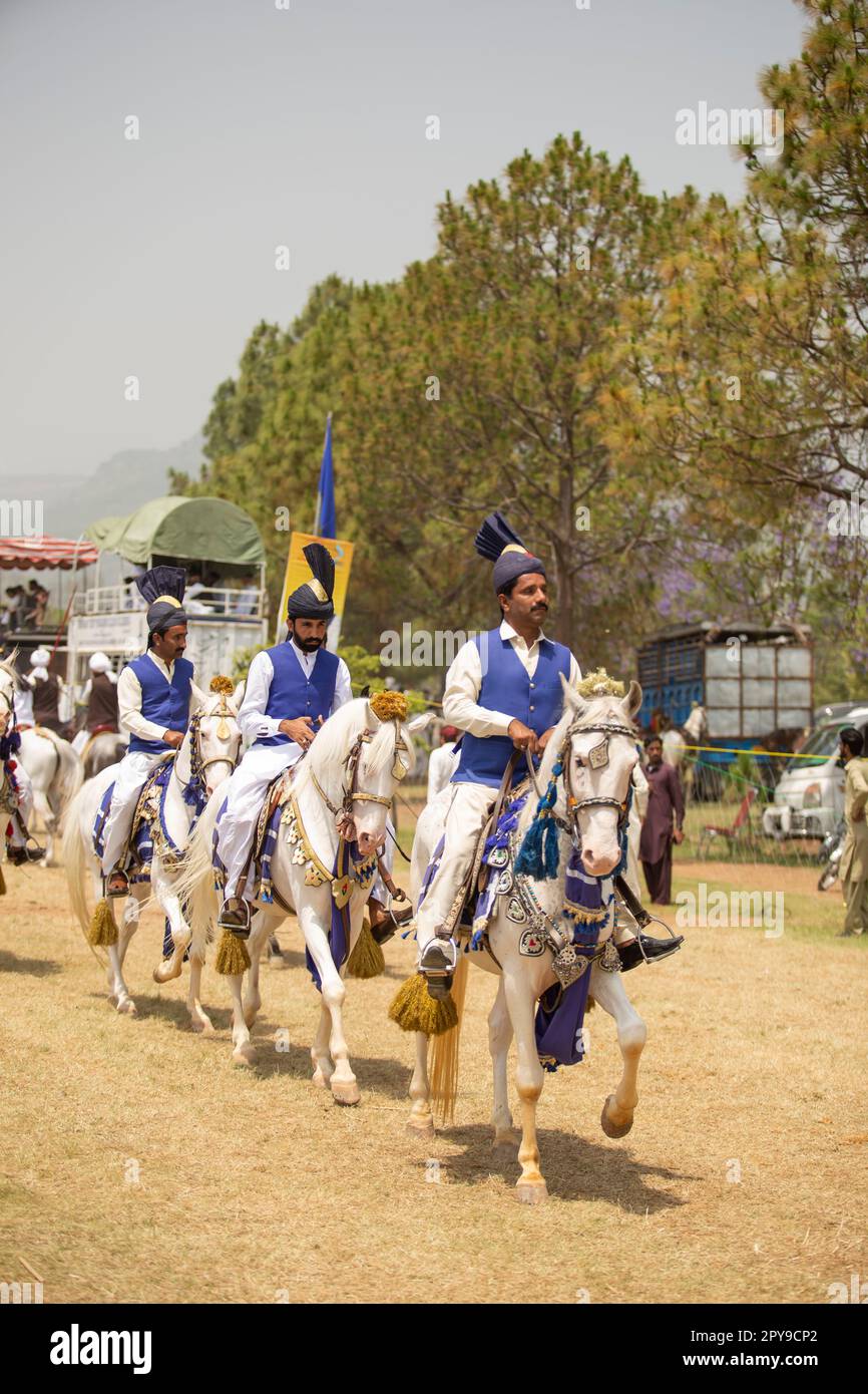 Pakistan, Asian Horse rider on traditional Islamabad Championship tent ...
