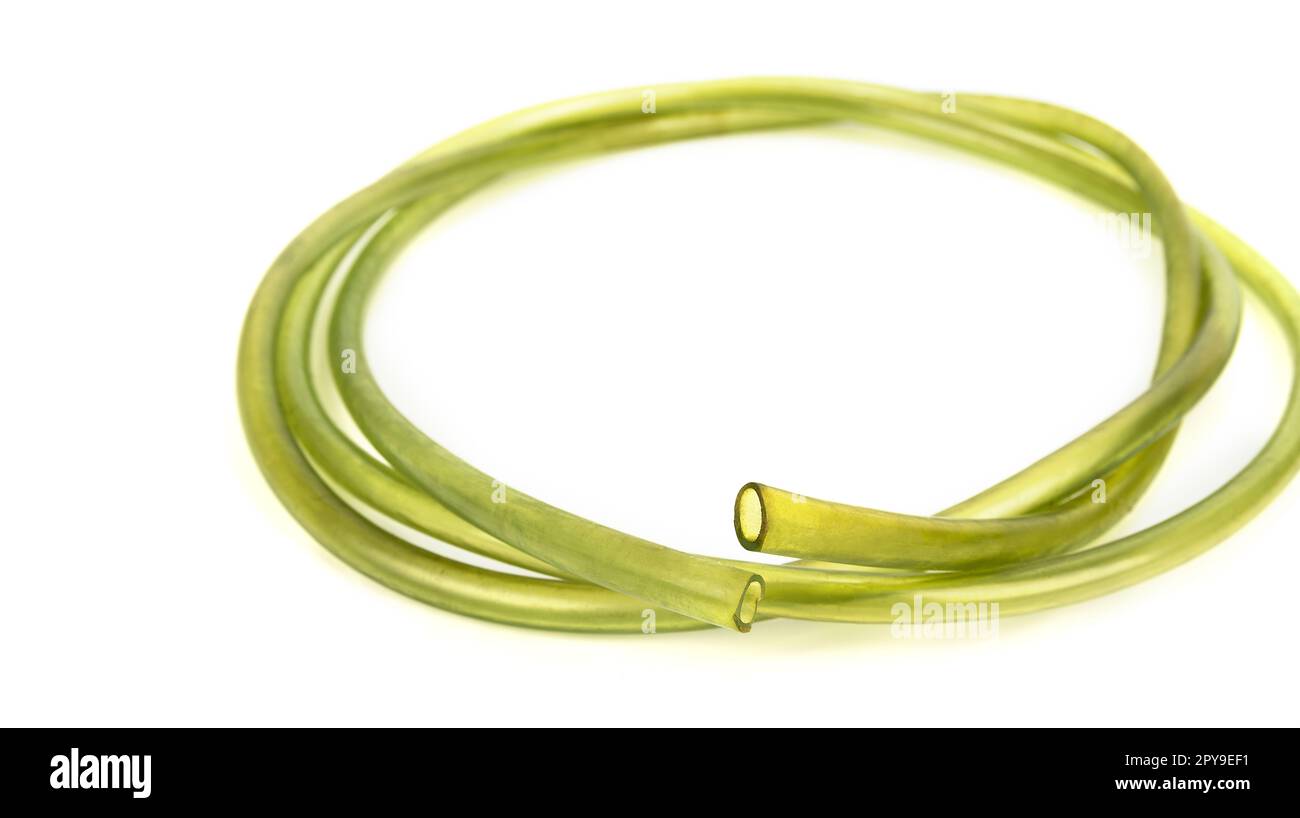 Car hose to siphon gasoline from the fuel or oil tank Stock Photo Alamy