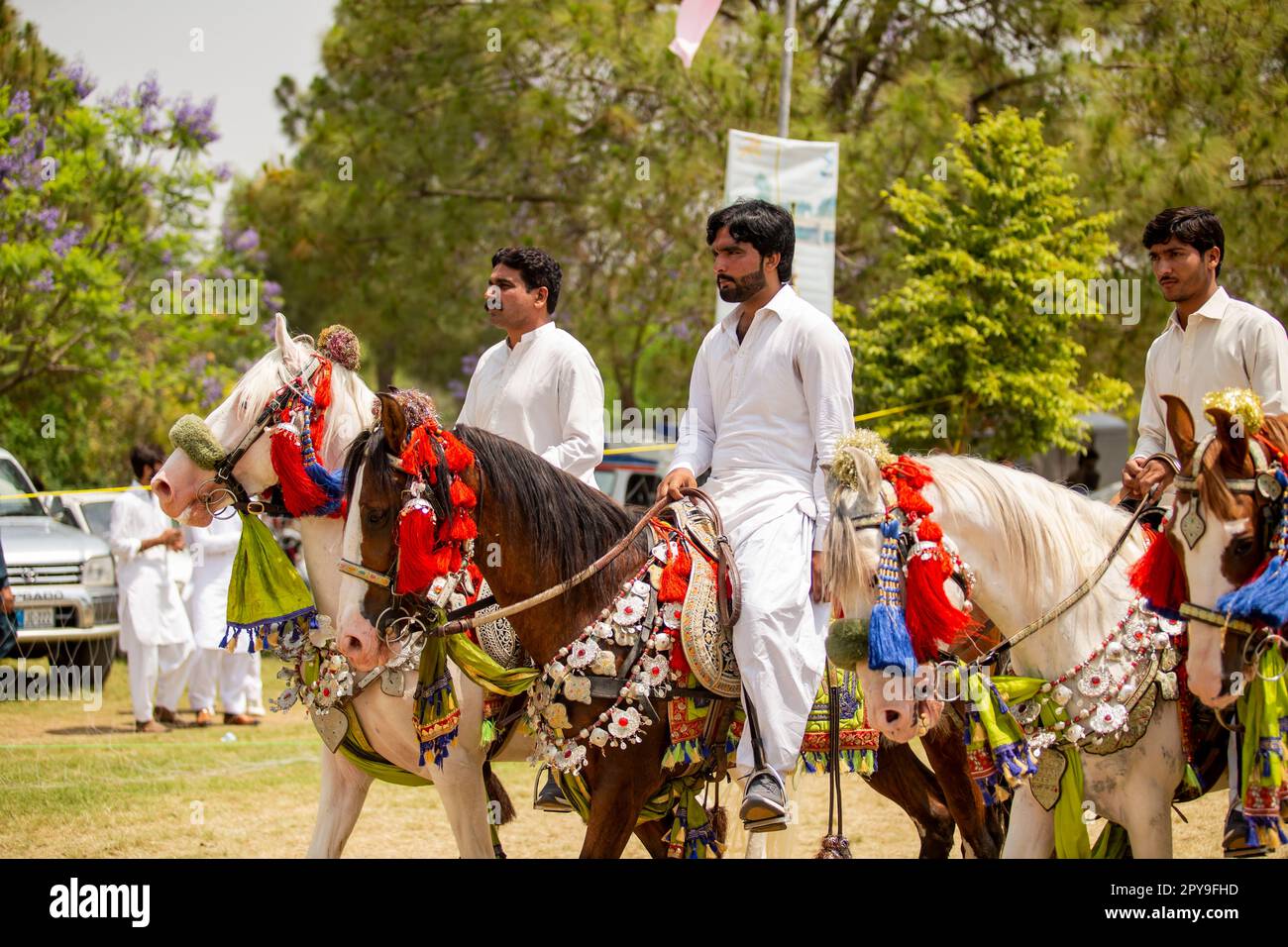 Pakistan, Asian Horse rider on traditional Islamabad Championship tent ...