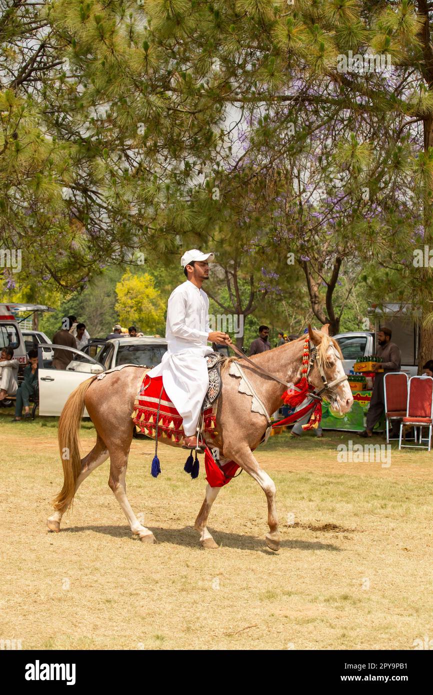 Pakistan, Asian Horse rider on traditional Islamabad Championship tent ...