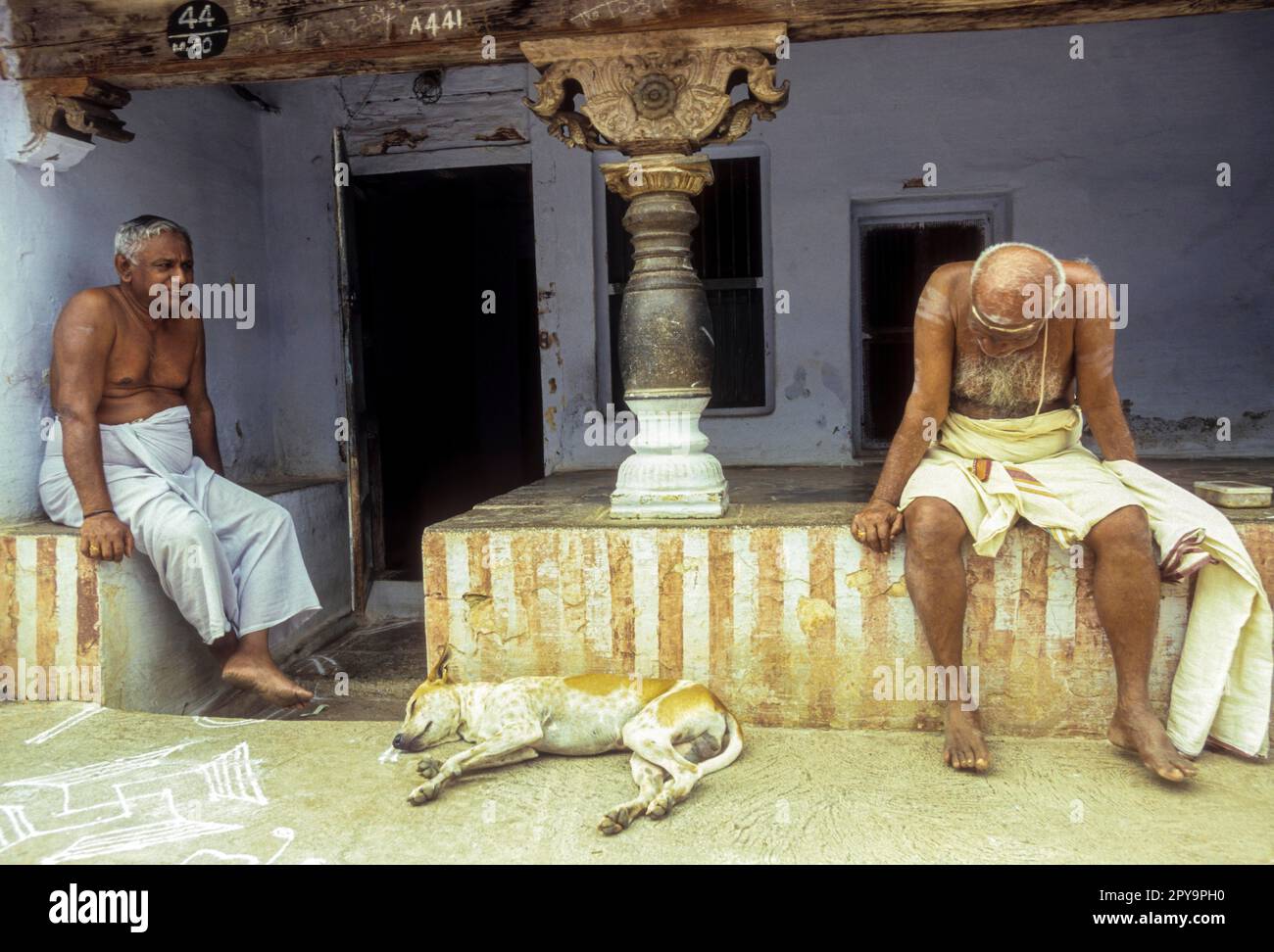 Yalangoch Tina Kandelaki yalangoch mashhurlar