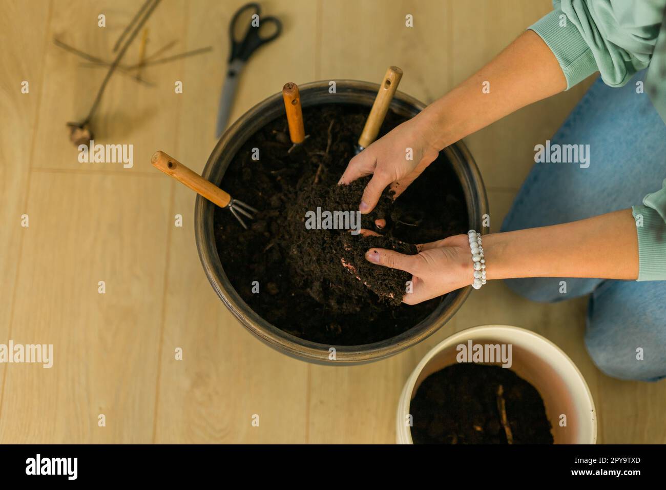 Spring hobby close up woman transplanting in flower pot houseplant with dirt or soil at home. Gardening plant and green tropical concept Stock Photo